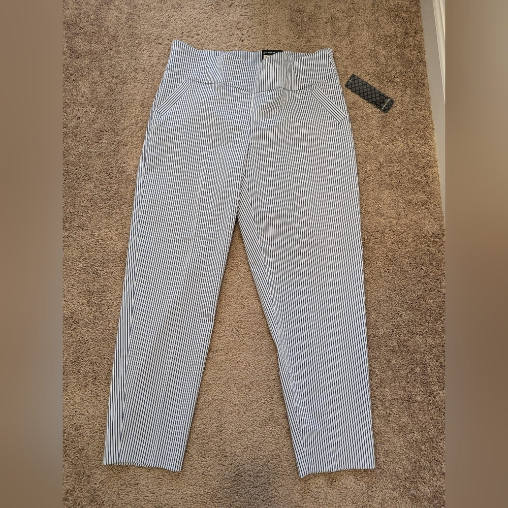 Massini blue stripe slacks 1X